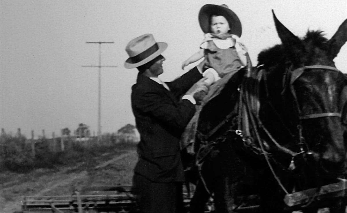 Tom Nunes on plow horse with his father Tom Nunes II